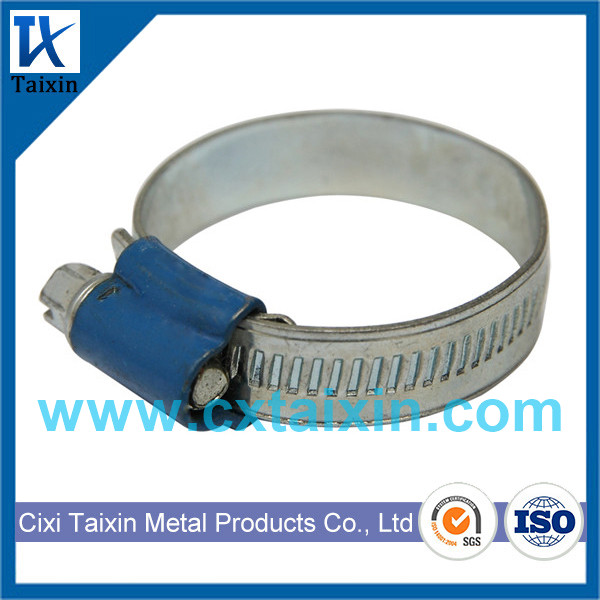 英式喉箍 - 蓝带